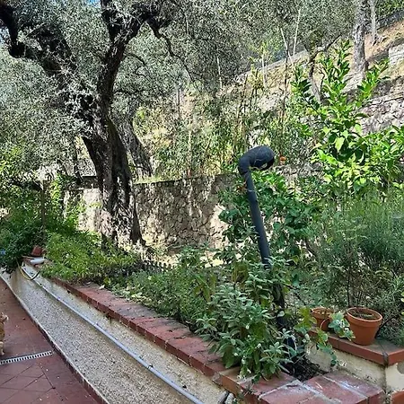 Lejlighed La Casa Nel Bosco
